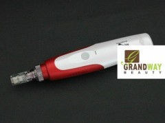 Medical Electric Auto Derma Pen for Skin Care