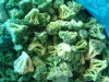 frozen vegetable frozen broccoli