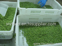 frozen vegetable frozen green pea