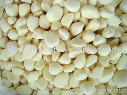 IQF Frozen Garlic Segment