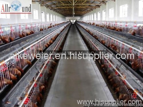 chicken automatic poulty farm equipment