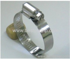 American Type Hose Clamps(Screw: 5/16