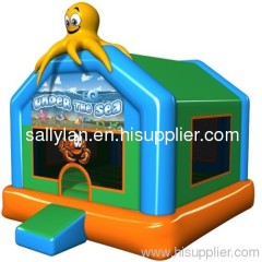 inflatable bouncer/ inflatable castle