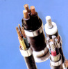 Flexible multi-core steel type shielded control cable