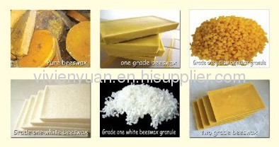 beeswax bee wax bee products