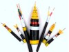 Multicore cu conductor steel type armored control cable