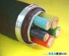 PVC insulated steel wire armored steel tape screen control cable