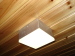 Architectural Lighting Ceiling light fitting 1Wx12