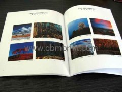 Nice brochure printing supplier