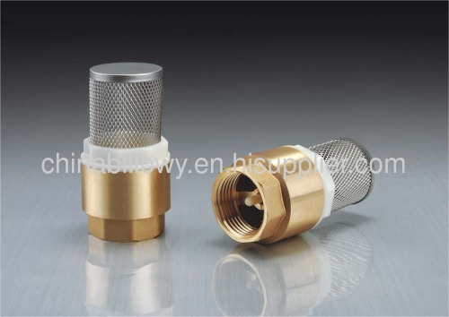 Brass check valve,check valve