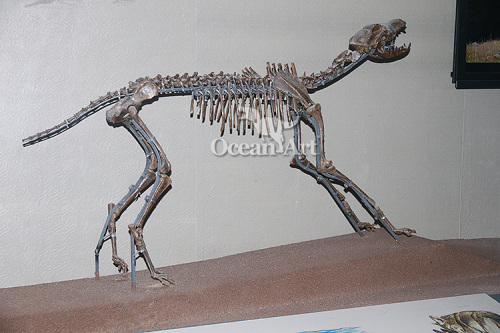 Original size of animal fossil
