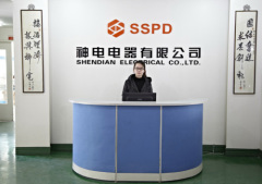 Yueqing Shendian Electrical Co. Ltd