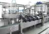 1 Gallon Mineral Water Filling Line With Bottle Feeding , Washing , Capping