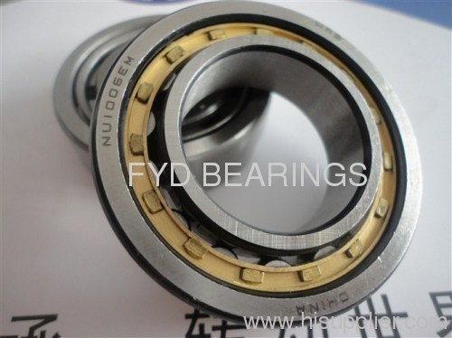 NU1006EM cylindrical roller bearings 30mm*55mm*13mm 0.12kg fyd bearings
