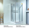 Corner Shower Enclosure With Shower Panel