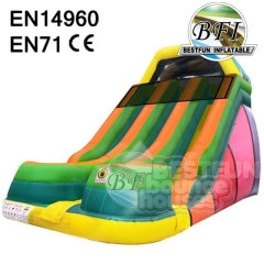 Giant Adult Inflatable Slide