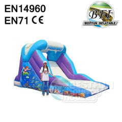 Undersea Theme Slide Inflatable