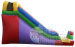 Kids Inflatable Water Slides