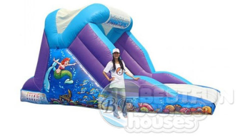 Undersea Theme Slide Inflatable