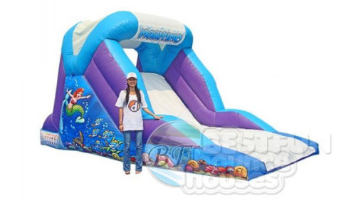 Undersea Theme Slide Inflatable