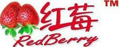 REDBERRY INDUSTRIAL LIMITED