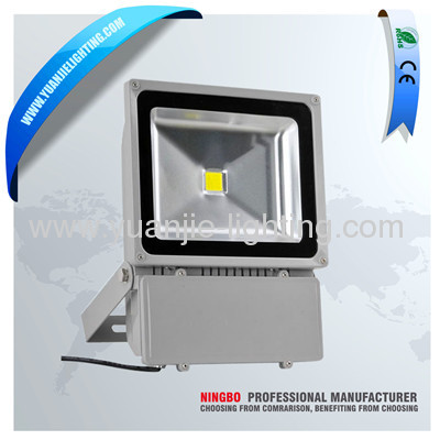 CE ROHS Aluminium die-casting 100w LED floodlight