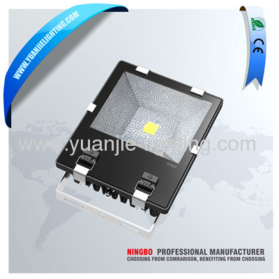 Best price aluminium cob led floodlight