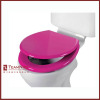 varnish painted mdf toilet seat