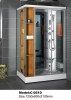 Steam shower room with sauna