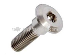DIN912/DIN933/DIN84 for GR2 titanium bolt fasteners