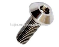 Manufactured in China titanium fastener