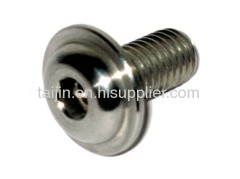 Manufactured in China titanium fastener