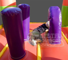 Colorful Inflatable Castle Combo