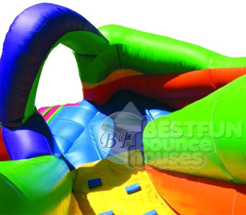 Coloerful Bouncer Combo Inflatable