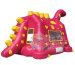 Inflatable Dino Bouncy House