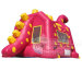 Inflatable Dino Bouncy House