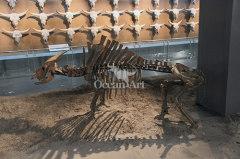 animals in fiberglass animal skeleton fossils