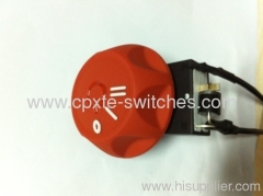 AC variable speed switch for Blower