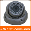 H.264 Real-time 1.3MP 1/3'' low illumination CMOS 42*F5 LEDs 20-25m IR View IP Security Dome Camera.