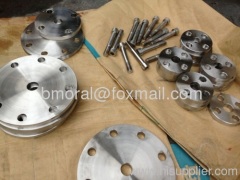 Hastelloy C22 C276 G30 forging flange