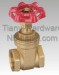 Brass Red Handle Gate Valve