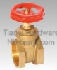 Horizontal Manual Brass Red Handle Two General Formula Gate Valve