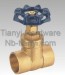 Brass Two General Formula Gate Valve