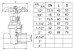 Brass Two General Formula Gate Valve