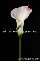 Calla Lily PU Flower, Premium Imitation Flower