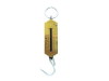 metal hanging scale