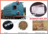 High quality Chain Grate Coal Fired Steam Boiler china manufacturer