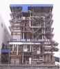 CFB thermal power boiler from Grade A manufacturer of China