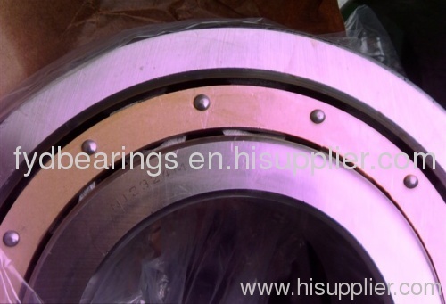 NJ2324M 120 MM×260 MM×86MM cylindrical roller bearings fyd bearings