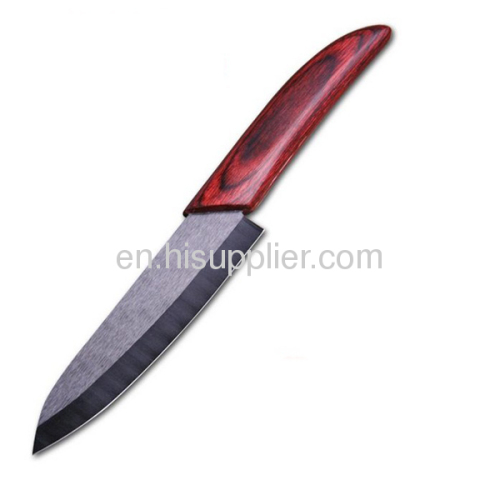 Ceramic kitchen knife with ABS white blade